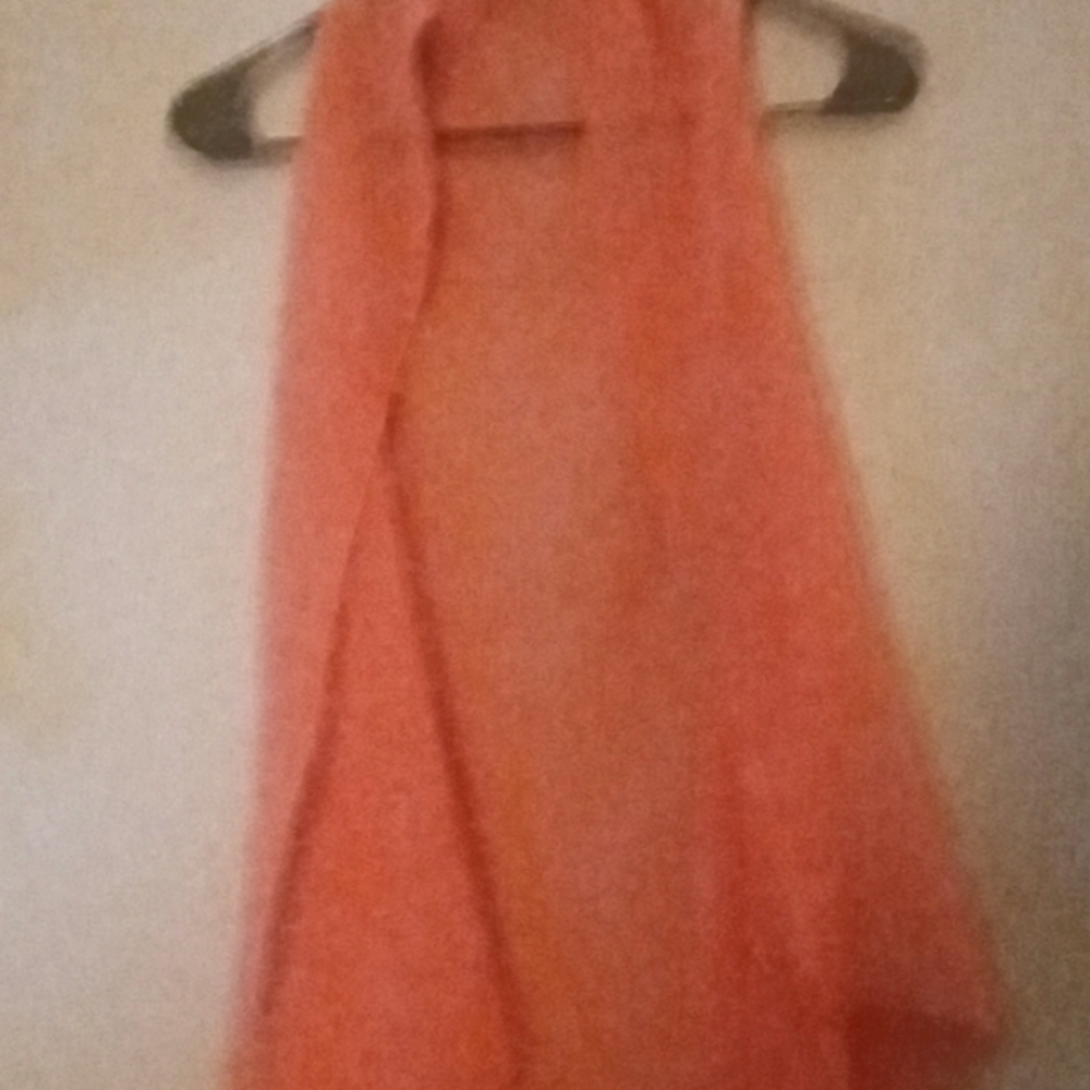 A sheer vest